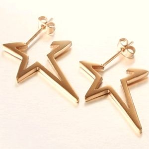 ⭐Rose Gold Stainless⭐Steel Star Dangle Earrings⭐